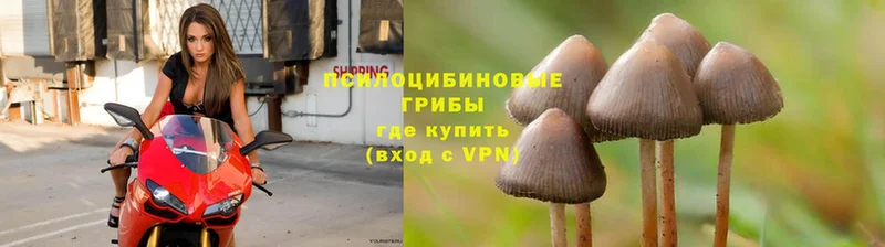 закладка  MEGA как зайти  Галлюциногенные грибы MAGIC MUSHROOMS  Донской 